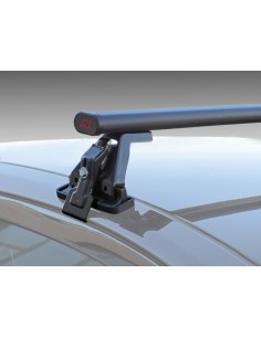 Pacific Basic Kitless G3 1300 mm (escluso kit) 2